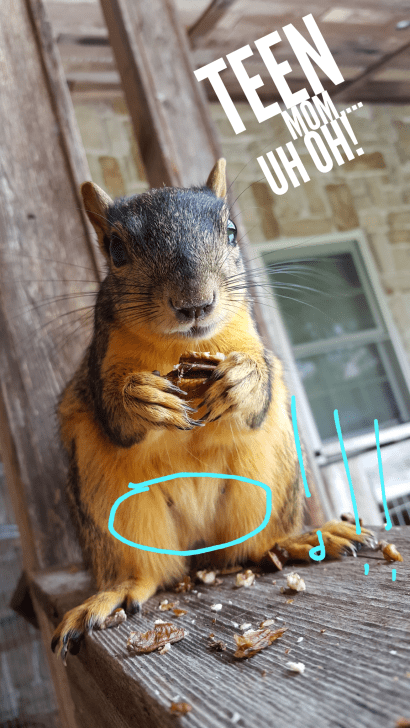 wordswag_1496860662592