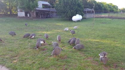 _storage_emulated_0_Android_data_com.samsung.android.messaging_files_20180423_082535_1524490086750_001